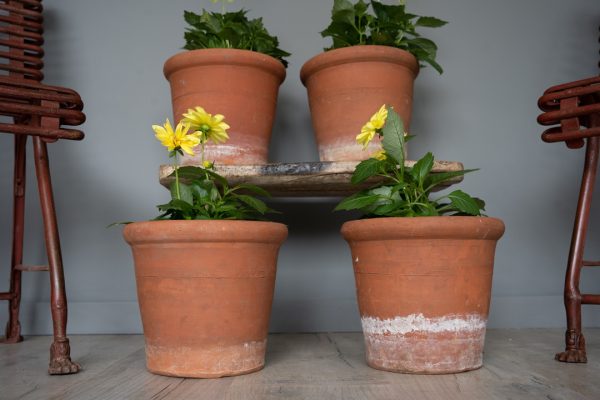set of Darlaston Pots from Staffs
