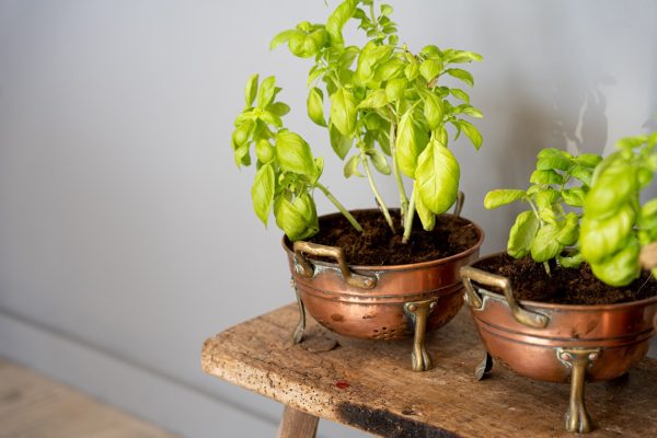 a set of vintage kitchen accessories of colanders