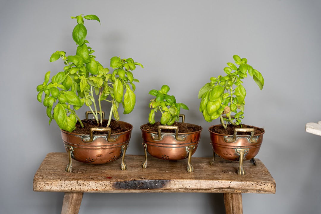 decorative small vintage kitchen accessories