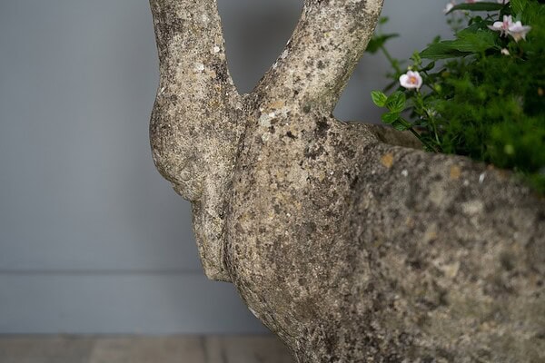 a cast stone antique French garden swan planter