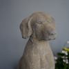 a pair of cast stone antique garden dog statues