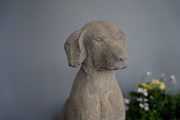 a pair of cast stone antique garden dog statues