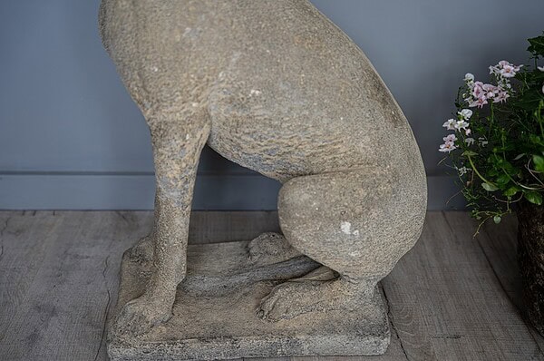 a pair of sitting garden dog hound statues