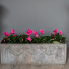 an antique lead rectangular garden planter