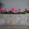 antique lead garden planter