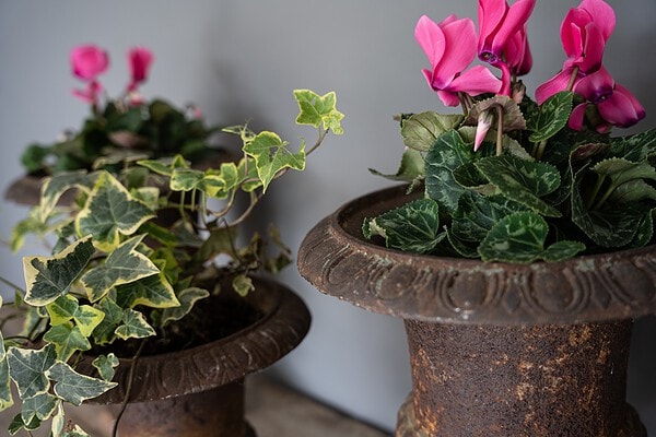 cast iron antique garden urns ideal for indoors