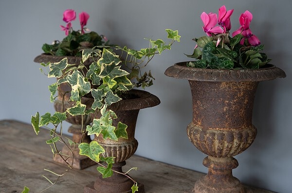 cast iron planters or urns ideal for indoors for decorative use