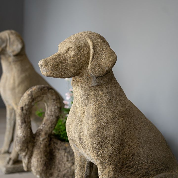 garden antique dog statues