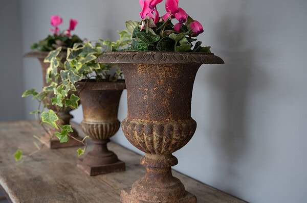 interior styling ideas for planting with antique urns