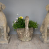 pair of cast stone garden hound dog statues