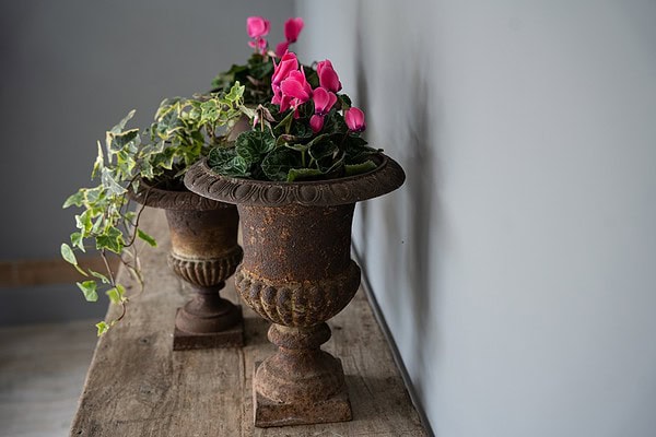 set of interior planters cast iron antique urns