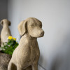 vintage garden hound dog statues