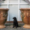 giant scale pair of antique garden planters for sale