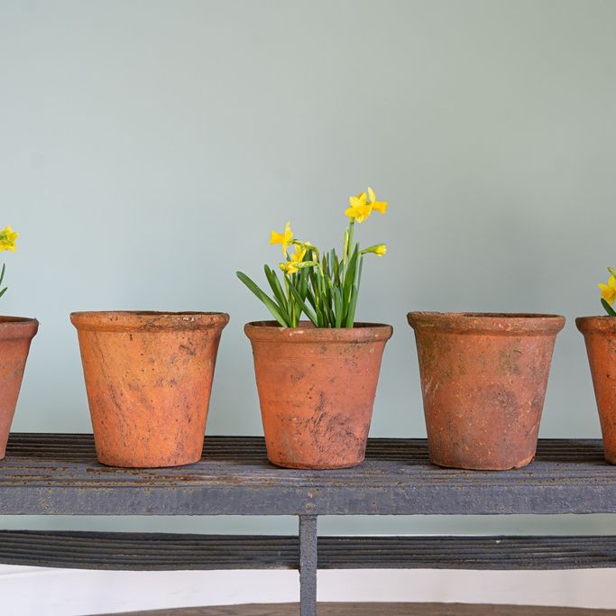 old terracotta pots