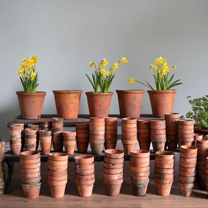 small terracotta seedling pots