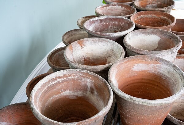 terracotta plant pots