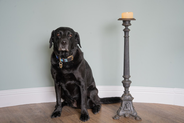 floor standing antique candlestick