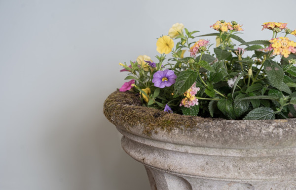 a cast stone pair of decorative garden urns for sale