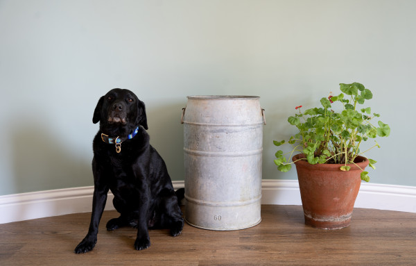 garden victorian dolly tub made from galvanised steel