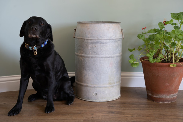 slim antique galvanised dolly tub