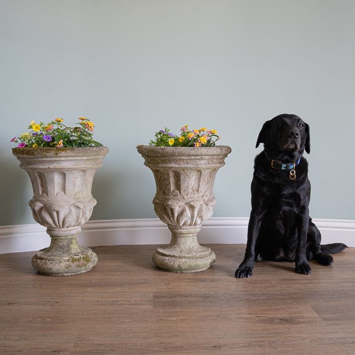 small sized decorative garden planters for sale
