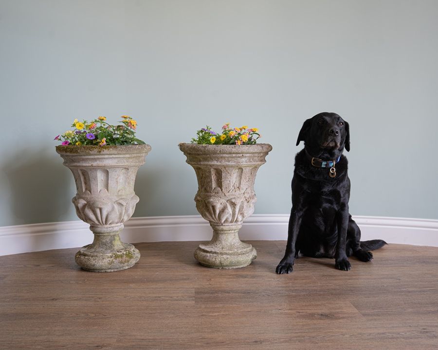 small sized decorative garden planters for sale