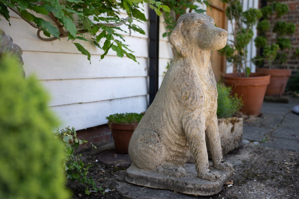 a garden dog statue