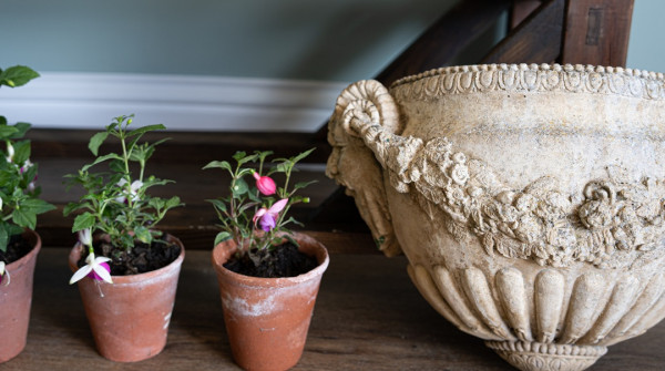 a pair of garden wall pocket planters
