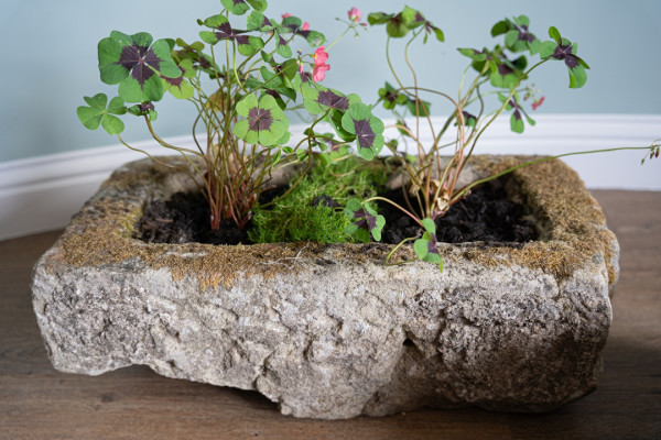 a set of antique garden stone planters