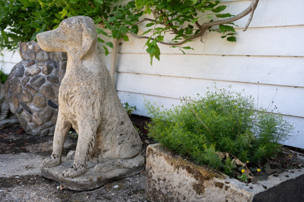 garden dog statue