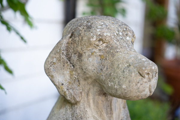 handsome vintage garden dog statue