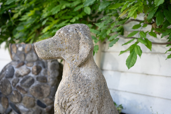 labrador looking vintage garden dog statue