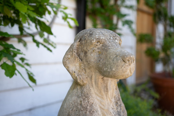 vintage dog statue for the garden