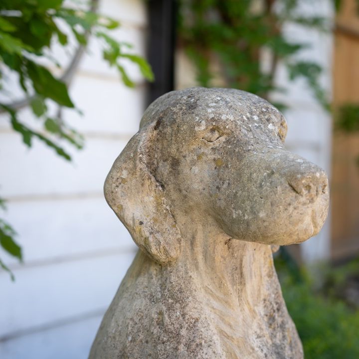 vintage dog statue for the garden