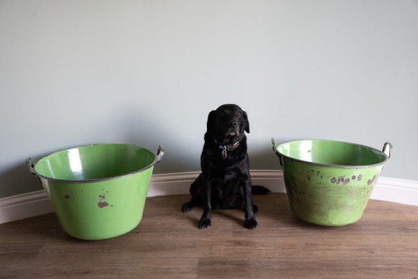 Green galvanised large pots for the garden