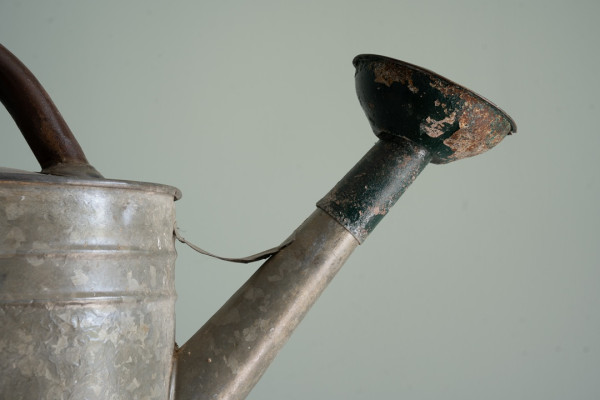 a vintage watering can