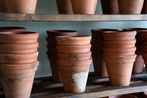 antique pots for bedding plants for sale