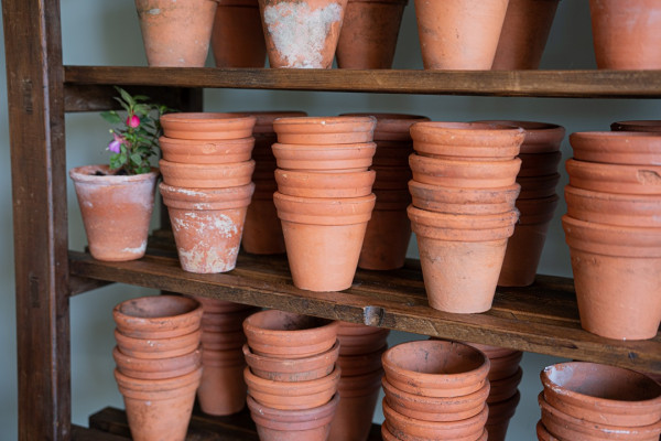 antique pots for sale