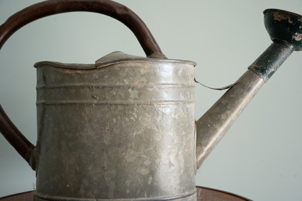 antique watering can for the garden