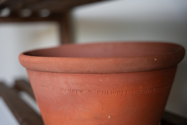 extremely rare garden terracotta planting pots for sale