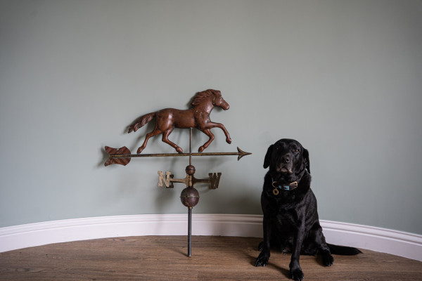 garden horse decorated weathervane