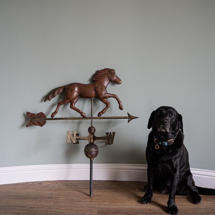 garden horse decorated weathervane