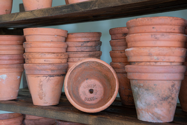 garden terracotta plant pots for sale Sankey Bulwell
