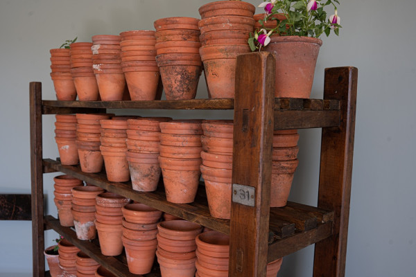handmade vintage terracotta plant pots for sale