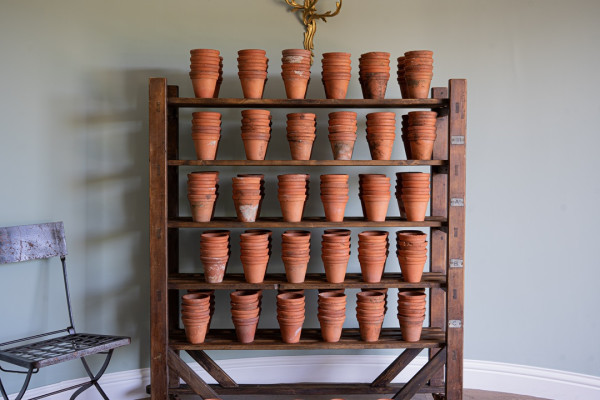large amount of antique terracotta plant pots for sale