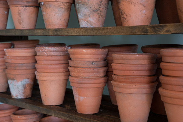 large selection of antique terracotta plant pots for sale