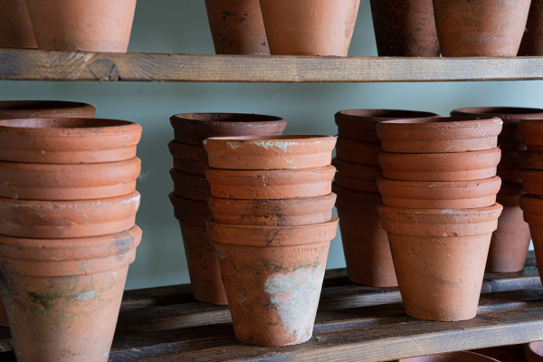 old terracotta plant pots for sale