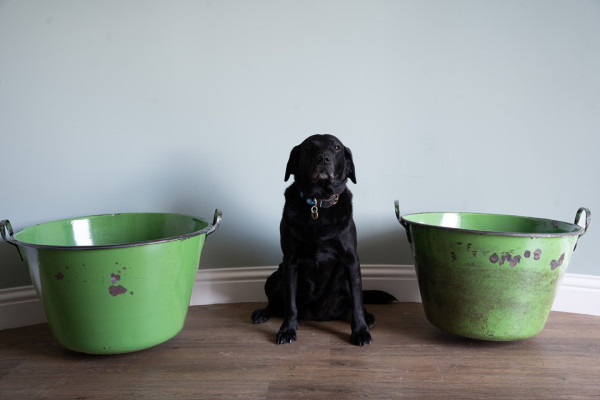 pair of green galvanised large pots for the garden