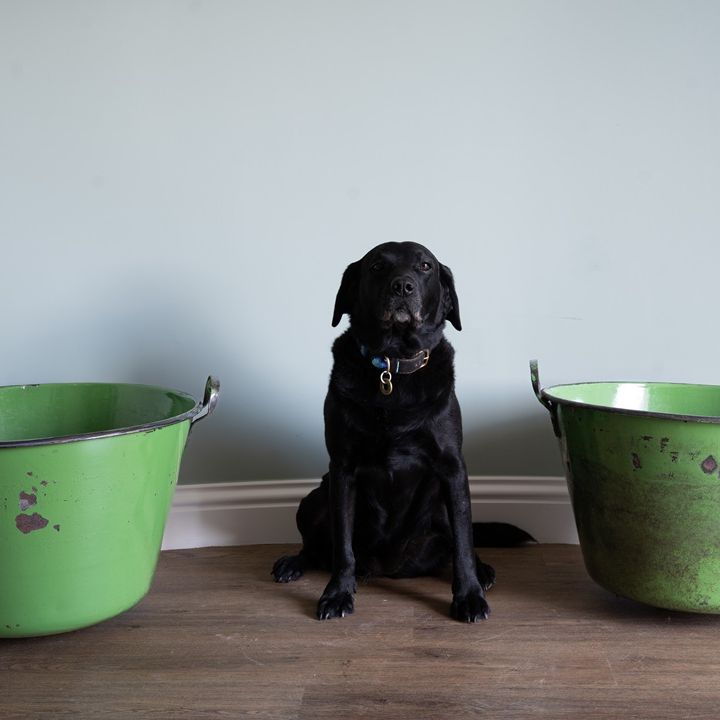 pair of green galvanised large pots for the garden