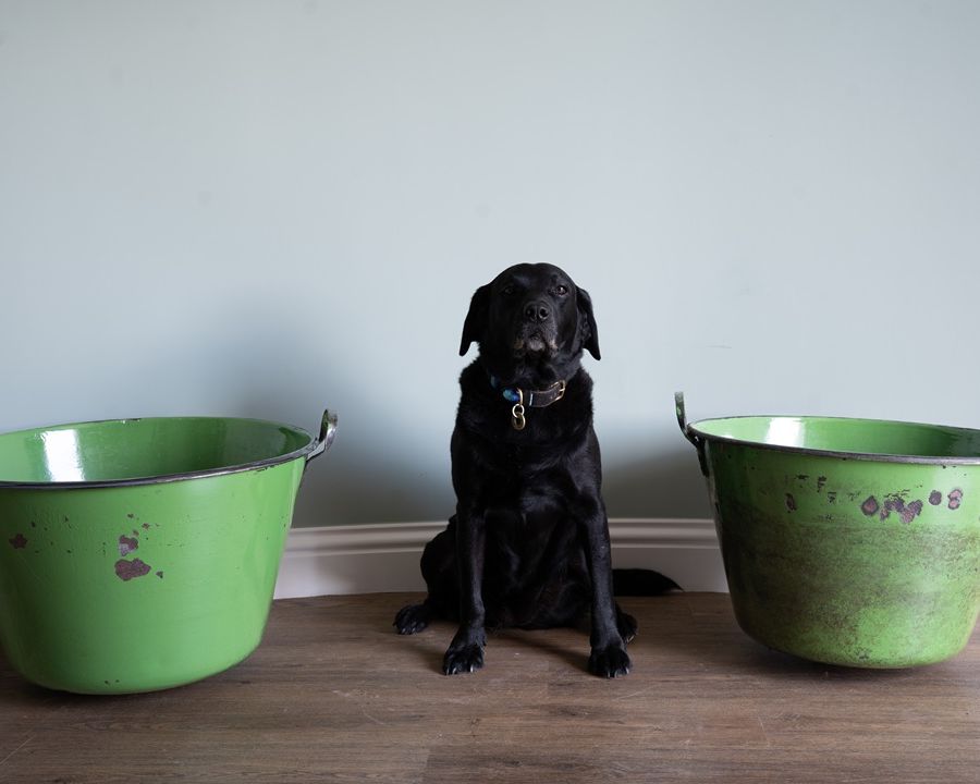 pair of green galvanised large pots for the garden